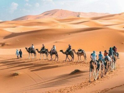 Kamel Travel in morocco