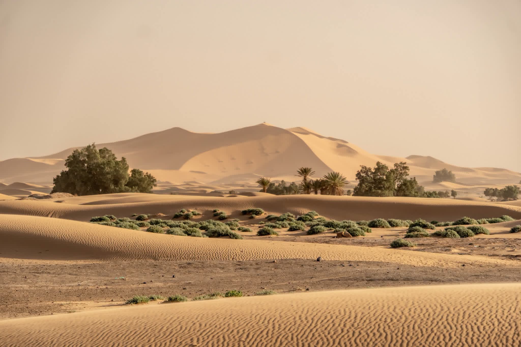 Erg Chegaga Morocco Tours